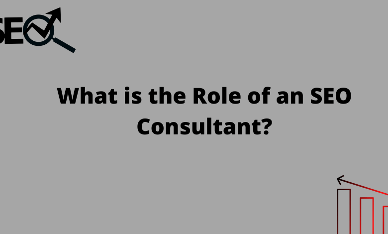 What is the Role of an SEO Consultant?