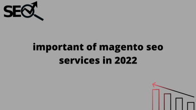 important of magento seo services in 2022