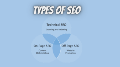 Types of seo